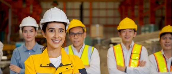 Skills in Demand Visa